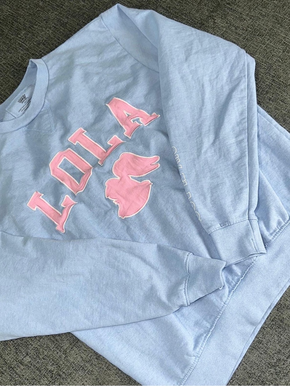 Looney Tunes Lola Bunny Blue Pink Graphic Fleece Crewneck Pullover Sweatshirt M